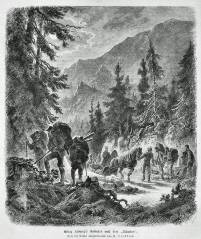 Aufstieg - 04 - Gartenlaube 1873 S. 207